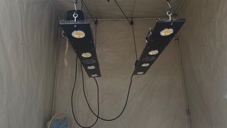 Lote Armario LED Cultivo Interior