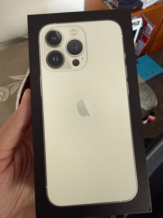 iPhone 13 Pro roto