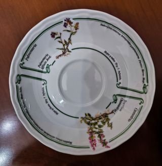 Juego de café y te Bidasoa Plantas Medicinales