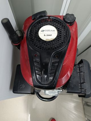 Zodiac neumática con motor 