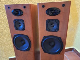 Pioneer altavoces de 3 vías con sistema bas reflex