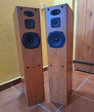 Pioneer altavoces de 3 vías con sistema bas reflex
