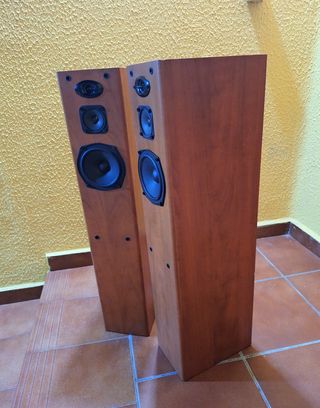 Pioneer altavoces de 3 vías con sistema bas reflex