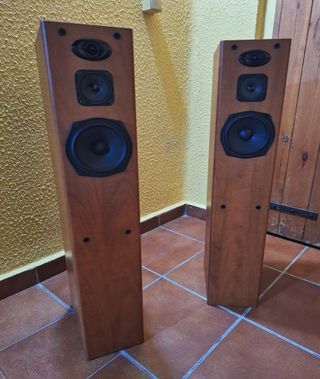 Pioneer altavoces de 3 vías con sistema bas reflex