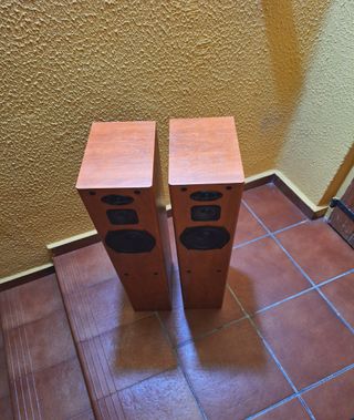 Pioneer altavoces de 3 vías con sistema bas reflex