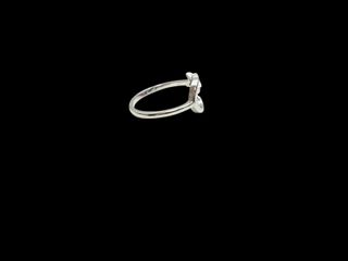 anillo plata 925mm