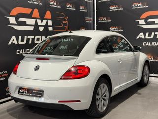 VOLKSWAGEN Beetle 1.6 TDI 105cv Beetlemanía