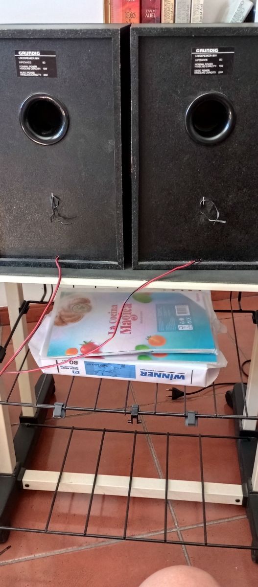 Altavoces Grundig Negros