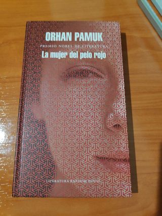 La mujer del pelo rojo / The Red - Haired Woman...
