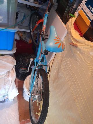 4 Bicicletas Niños y Adultos en muy buen estado