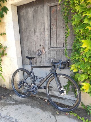 Megamo Pulse Elite 10 Ultegra