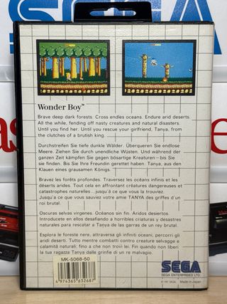 Wonder Boy - SEGA Master System 