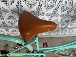 Bicicleta Paseo Vintage