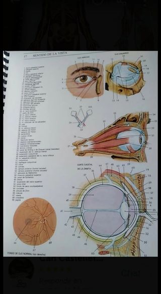Libro Anatomía 
