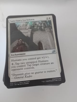 Lotes de cartas infrecuentes MTG