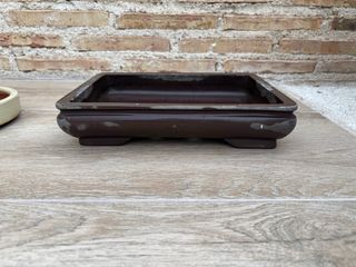 Maceta bonsai cerámica marrón