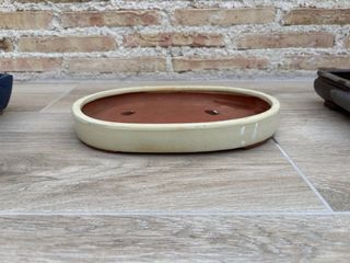 Maceta bonsai cerámica ovalada beige