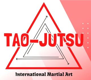 CLASES DE MMA/DEFENSA PERSONAL