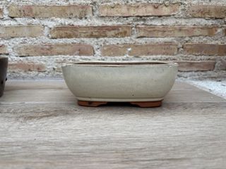Maceta bonsai cerámica beige y terracota