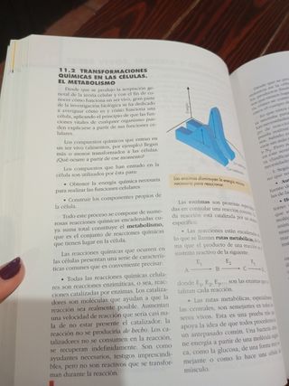 Biología y Geología Bachillerato LOGSE