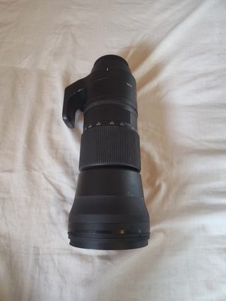 Sigma 150-600mm C + Multiplicador 1.4x para canon