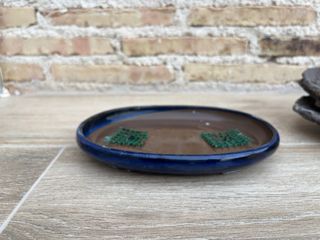 Maceta bonsai cerámica azul y marrón