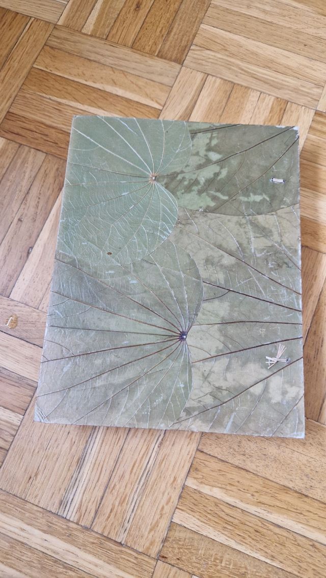 Album fotografico con decorazioni naturali