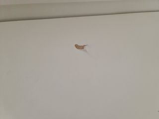 Mesa escritorio modular blanca