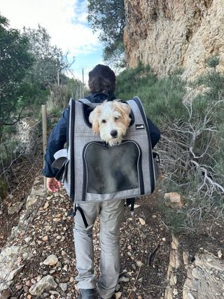 Mochila / Trasportin para perro o gato 