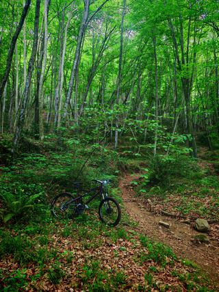 Bicicleta MTB Rockrider 9.1 XL