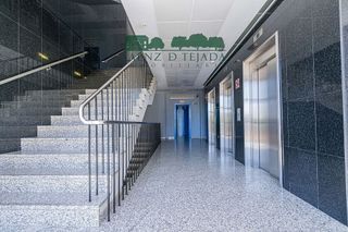 Oficina en alquiler en Triana Oeste en Sevilla