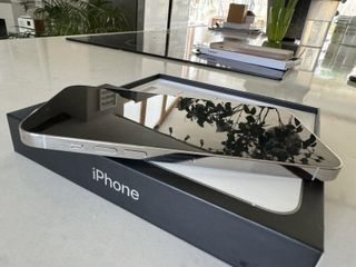 iPhone 13 Pro Max 128GB Blanco