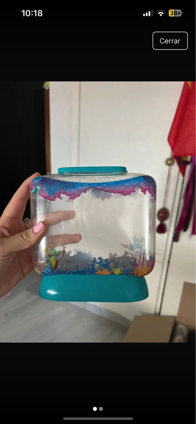 Pecera temática de dragones marinos