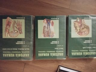 Anatomia Humana - Tomo I Cabeza y Cuello 10 Ed....