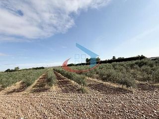 Terreno en venta en Calahorra