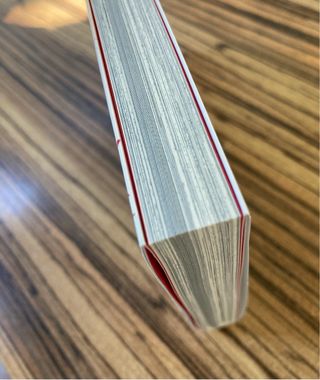 The future I saw. Ryo Tatsuki