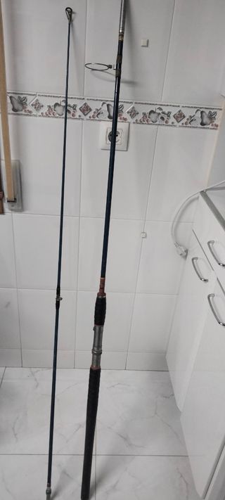 Caña de pescar mar 2 cuerpos 3m