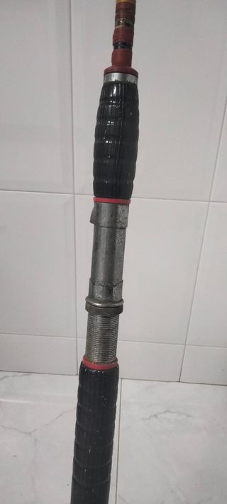 Caña de pescar mar 2 cuerpos 3m