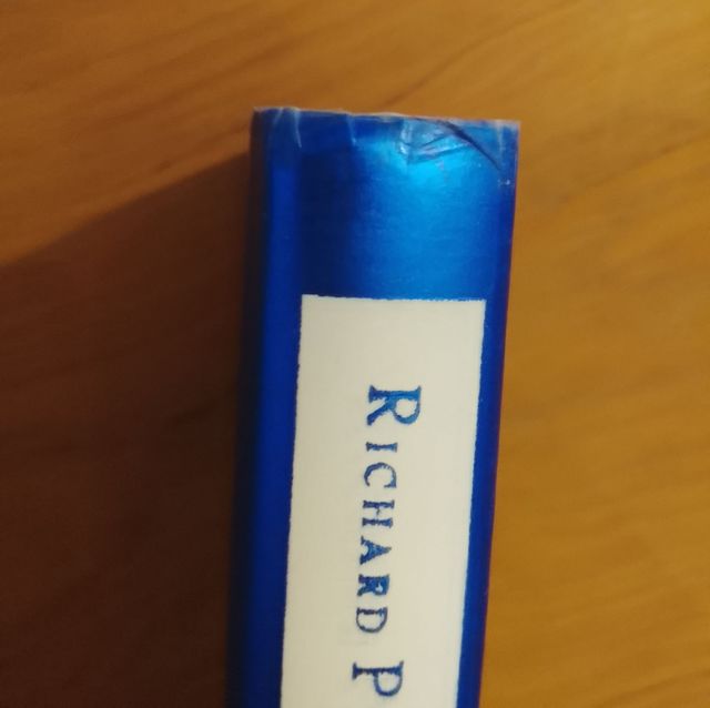 Richard Paul Evans, Lo Specchio