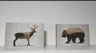 Cuadros animales 30x20
