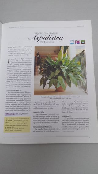 Libro El Vivero En Casa