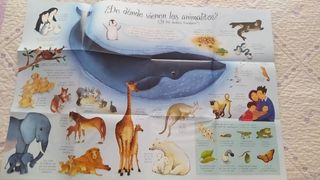 Cuento infantil de animalitos