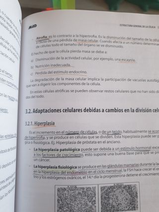 Técnico especialista en Anatomía Patológica 