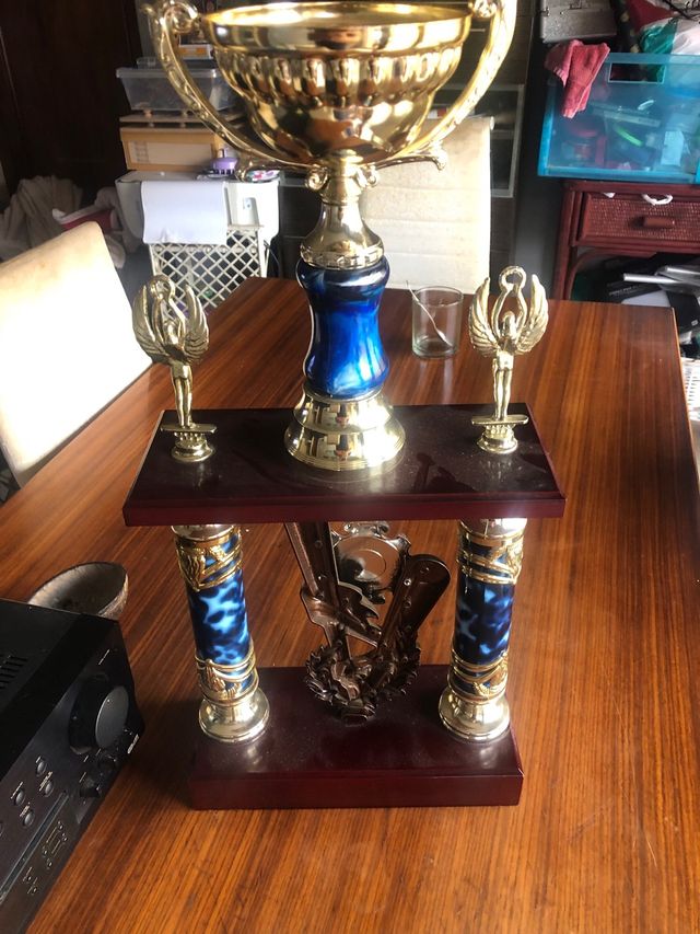 Trofeo Kickboxing Dorado y Azul