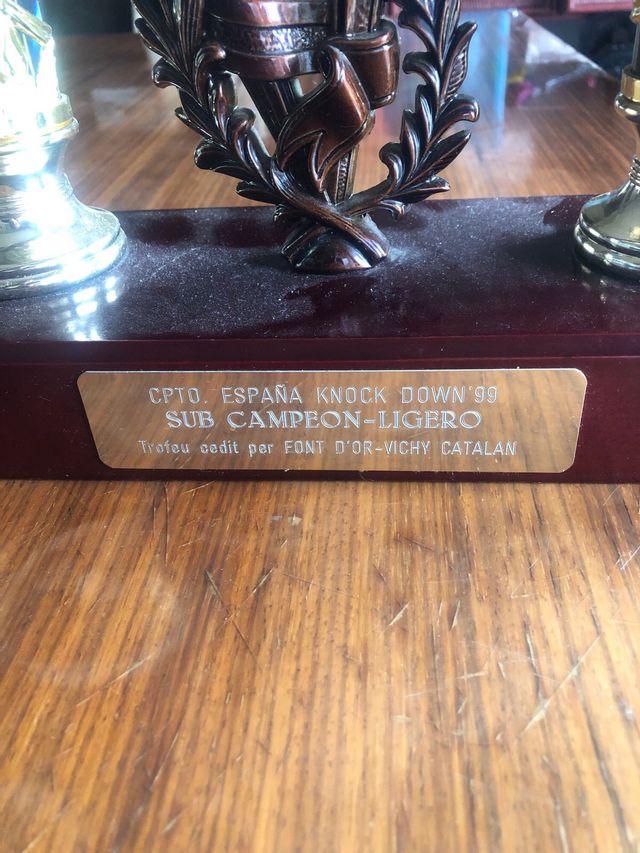 Trofeo Kickboxing Dorado y Azul