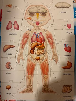 Puzzle El Cuerpo Humano Educa