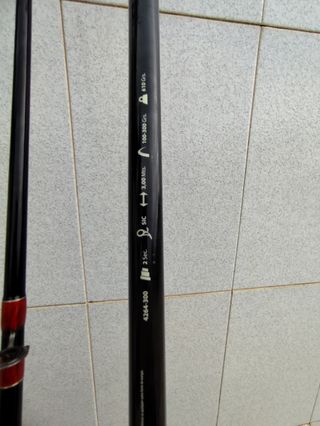 Caña de siluro + carrete Grauvell