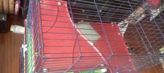 Jaula para cobayas/conejos multi-nivel