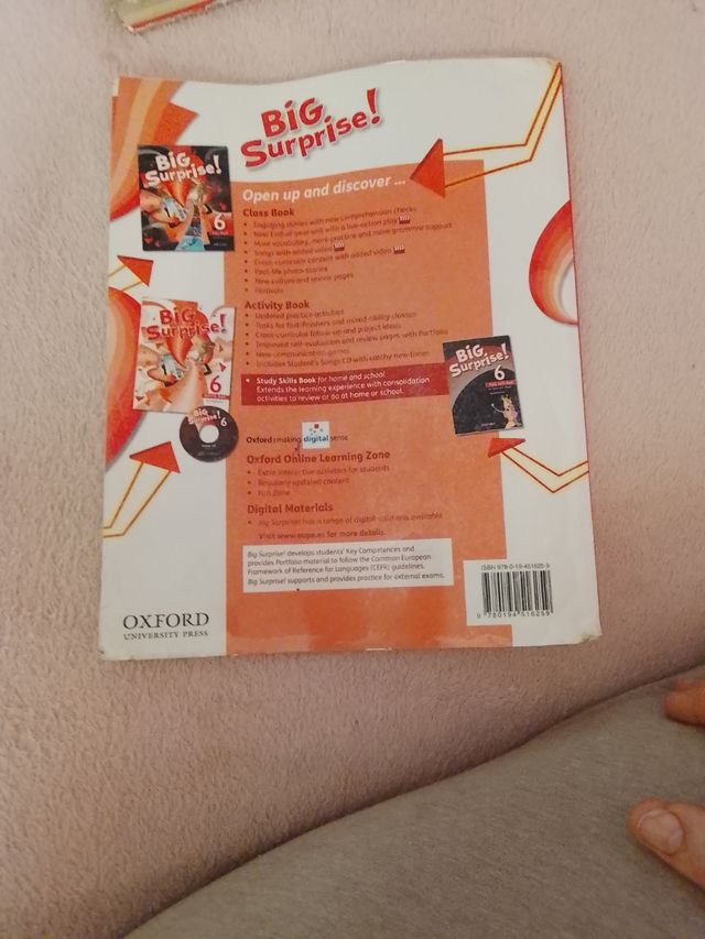 Big Surprise! 6. Activity Book + Study Skills B...