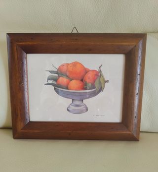 Stampa botanica con arance